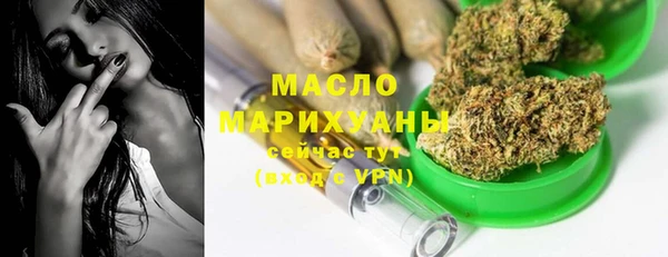 крисы Инта