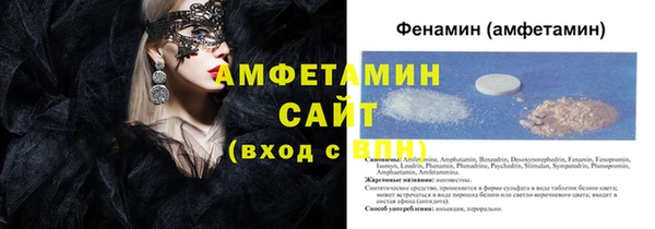 крисы Инта