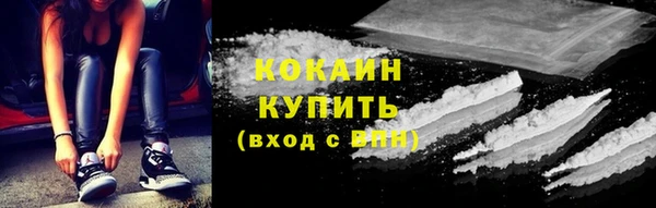 крисы Инта