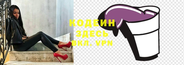 ПСИЛОЦИБИНОВЫЕ ГРИБЫ Инсар