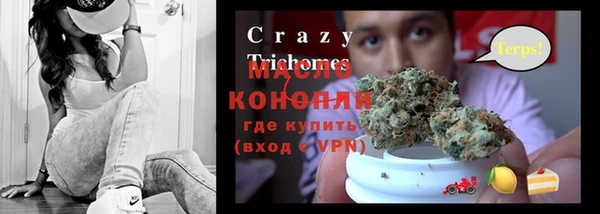 крисы Инта
