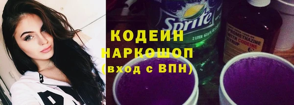 крисы Инта
