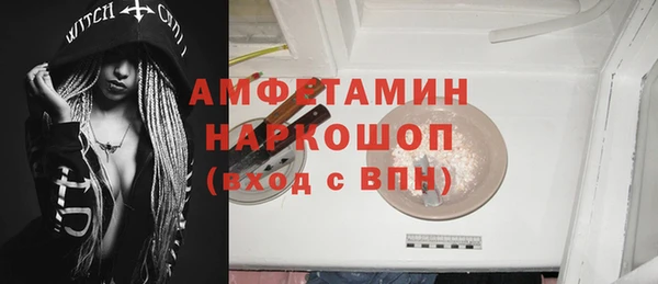 крисы Инта