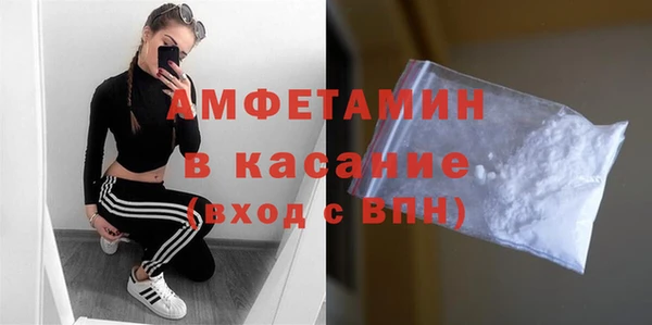 крисы Инта