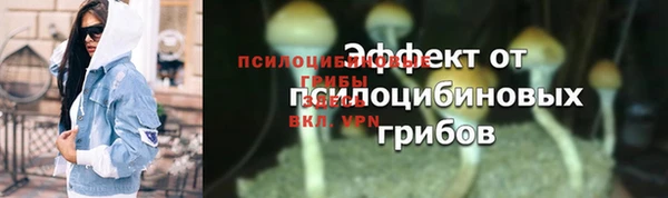 крисы Инта
