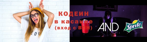 ПСИЛОЦИБИНОВЫЕ ГРИБЫ Инсар