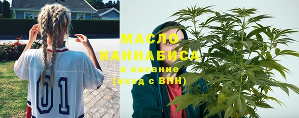 крисы Инта