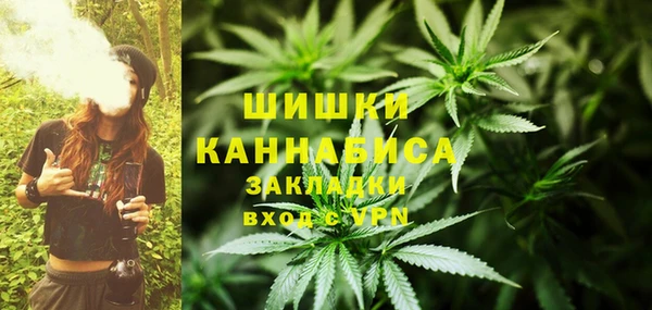 ПСИЛОЦИБИНОВЫЕ ГРИБЫ Инсар
