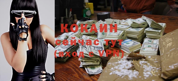 ПСИЛОЦИБИНОВЫЕ ГРИБЫ Инсар
