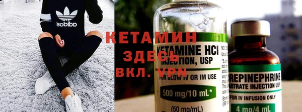 крисы Инта