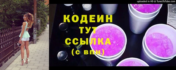 ПСИЛОЦИБИНОВЫЕ ГРИБЫ Инсар