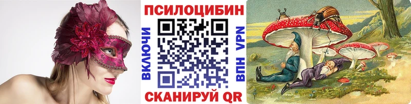 Псилоцибиновые грибы мицелий  Купить  Суровикино 